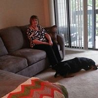 teresa.gesner avatar