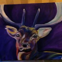 geraldine.fawcett avatar