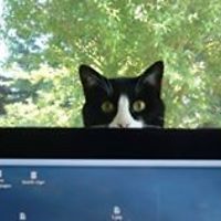 CherylPressGaston avatar