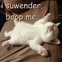 rosie.cheeks.338 avatar