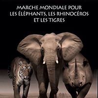 jenny.roy.397 avatar