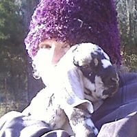 patricia.cowling avatar