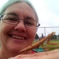 pattie.hannon avatar