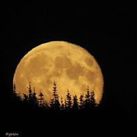 patricia.dawe1 avatar