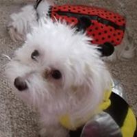 kathryn.mccord.9 avatar