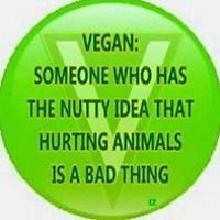 sue-konjicija avatar