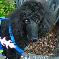 jacquigritsch avatar