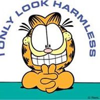 Naralithplugdj avatar