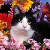 karen.ginder.56 avatar