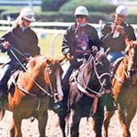 sandy-wallis-5 avatar