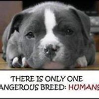 carol.mcclellan.5 avatar