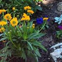 terrilynn.moore1 avatar