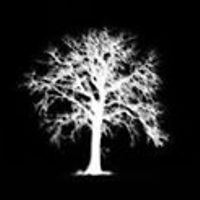 bumbaaraa-santana avatar