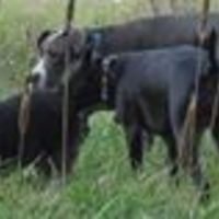 LoL.kabangbang avatar