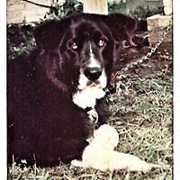 jane.siegrist avatar