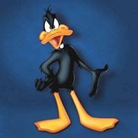 suzanne-young-58 avatar