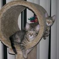 katherine-lawrence-140 avatar