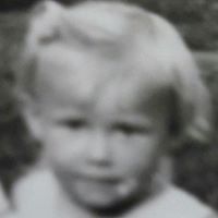 linda-dietzler avatar