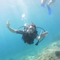 otilia.tudose avatar