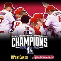 cristy.perfetti2 avatar