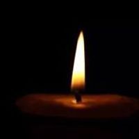 lucinda.mahaffey avatar