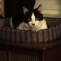 jenniesuekelly avatar