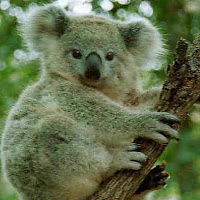 kathrynmiller avatar