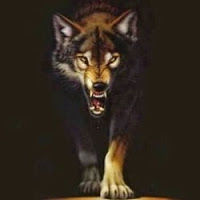 milosmiljkovic avatar