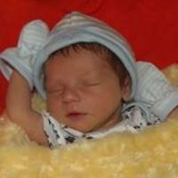 amy.barretthamilton avatar