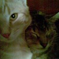 54358a6c95d9d avatar