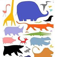 dragana-simonovitj avatar