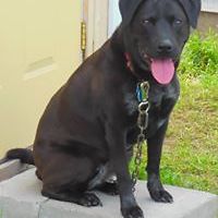 shelly.naldrett avatar