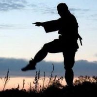 renzokuken.arg avatar