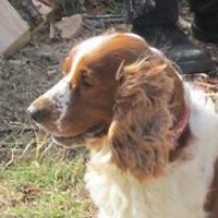 katrina-salmons avatar