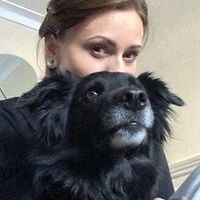 justynadark999 avatar