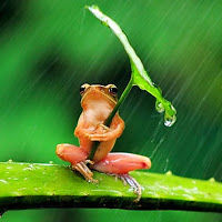 vanessa.prefontaine avatar