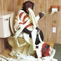 michamaydog.boden avatar