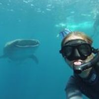 claire.maitres avatar