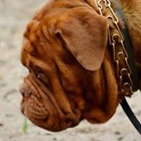 rlprocternyny avatar