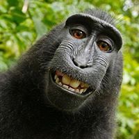 alberttalagon16 avatar