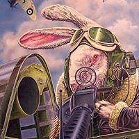 kelley-wright1 avatar