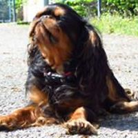 5437f6469c03b avatar