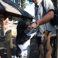 jevgenijs.koreckis avatar