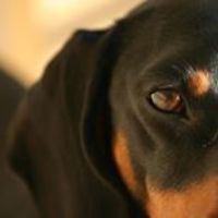 falegnameria.barbieri avatar