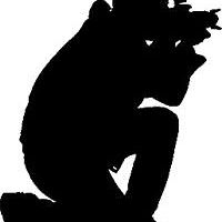 patrick.demptinne avatar