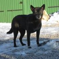 jane.andersen.560 avatar