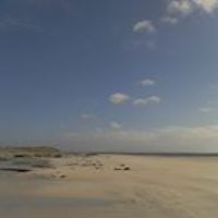 helen.carleton avatar