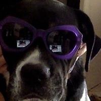 alfred.black.127 avatar