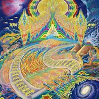 debbie.reinbeck avatar