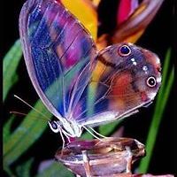 jan-warren-399 avatar